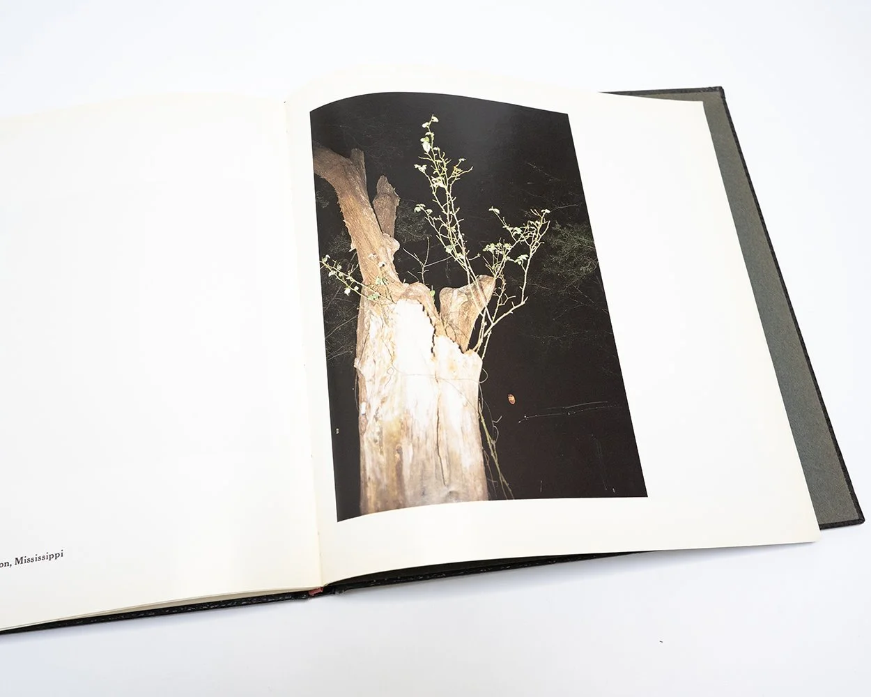 Instant Light: Tarkovsky Polaroids — bookdummypress